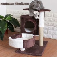 Homemart.shop-คอนโดแมวมีอุโมงค์ สูง55cm  คอนโด พร้อมของเล่น ปอมปอม เสาลับเล็บ