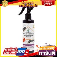 ✨Sale✨ สเปรย์ไล่แมลงสูตรเข้มข้น เคียงมูล 240 มล. สารกำจัดแมลงและสัตว์ ANTS &amp; COCKROACHES REPELLENT SPRAY KIENGMOOL 24