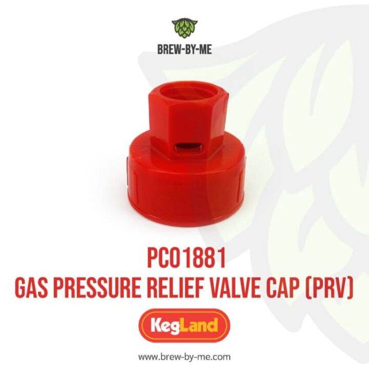 PCO1881 Gas Pressure Relief Valve Cap (PRV) Lazada.co.th