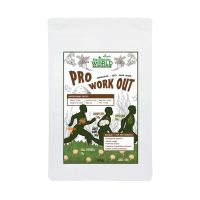 ?Healthy Organic?  Pro Work Out- 185g