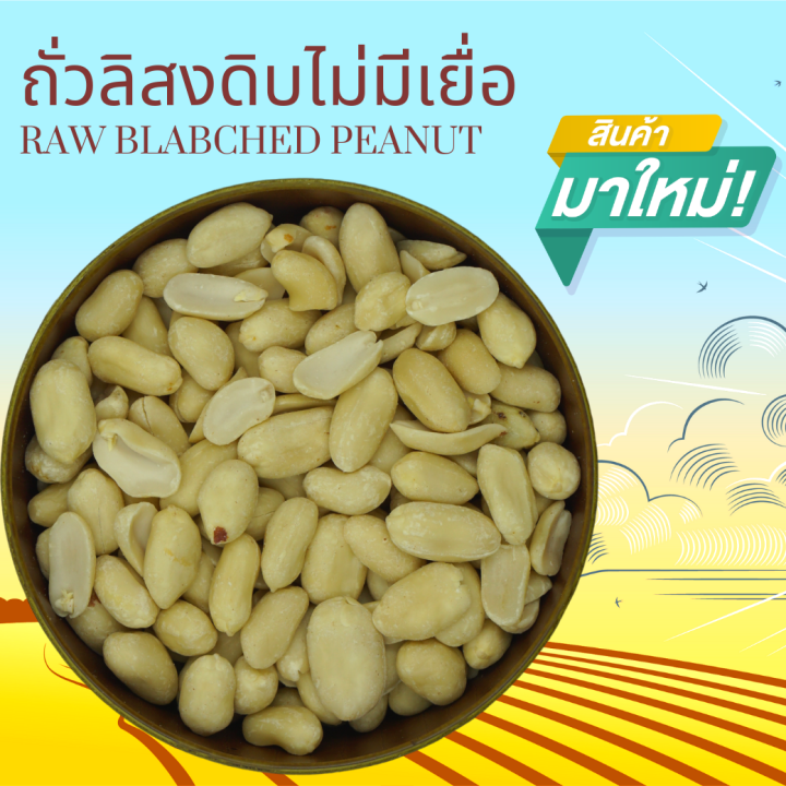 ถั่วลิสงดิบไม่มีเยื่อ 1 กิโลกรัม Raw ฺBlanched Peanut 1 kg