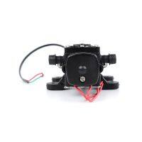 DC 12V 24V 20m 30m 40m lift Diaphragm Pump Diaphragm Vacuum Pump Mini Pesticide water Pumps FL-22 series