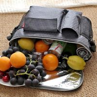 8L Gray Cooler Bag Small Portable Lh Box Thermal Insulation Bag Camping Beach Food Drink Fruits Ice Pack Refrigerator