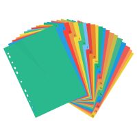 20 Pages A4 Binder Dividers Labels Folders Plastic Binder Tabs Dividers A4 Binder Pages Colorful Notebook Colored Folders Note Books Pads