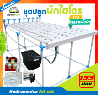 [รางหนาพิเศษ]ชุดปลูกผักไฮโดรโปนิกส์ รุ่น133ช่อง อุปกรณ์พร้อมปลูก Hydroponics kit set