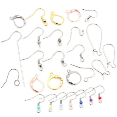 20x17mm Multi Styles Stainless steel DIY Earring Findings Clasps Hooks Jewelry Making Accessories Earwire DIY accessories and others