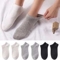 {Sock Shop} ถุงเท้าข้อเท้าถุงเท้าธรรมดา Angelcity สีพื้น