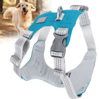 Pet Leash Vest Reflective Stripe Puppy Vest Harness for Outdoor Walking for Small Medium Dogs and Cats