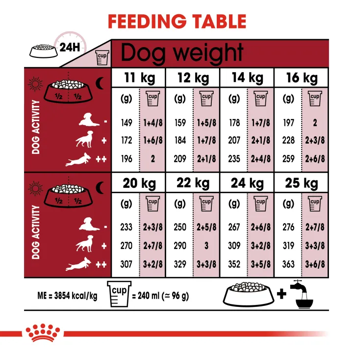 exp9-24-royal-canin-medium-adult-7-10kg-สุนัขโตพันธุ์กลางอายุ7ปีขึ้นไป