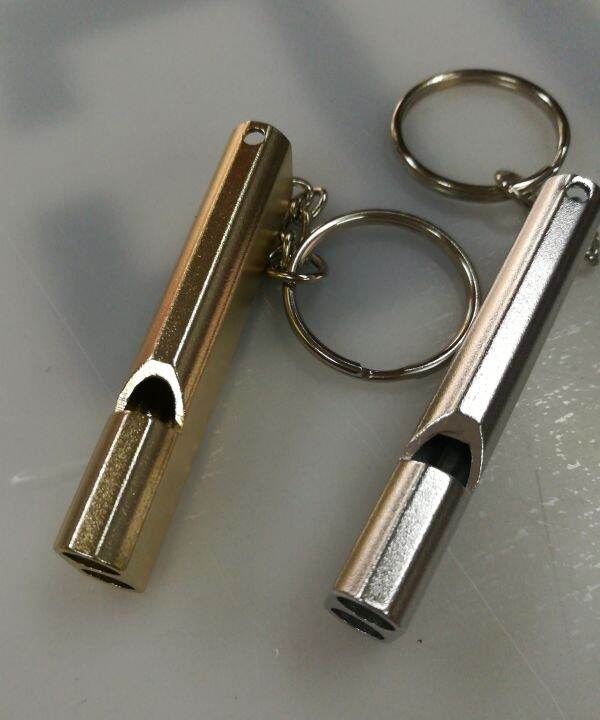 Stainless Steel Double Tube Whistle High Pitch Lazada PH