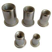 Stainless Steel Rivet Nut Thread M5 M6 M8 M10 M12 Flat Head Stripe Knurled Cylinder Riveter Nuts Through Hole