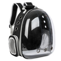 Cat Carrier Bag Breathable Transparent Puppy Cat Backpack Cats Box Cage Small Dog Pet Travel Carrier Handbag Space Capsule