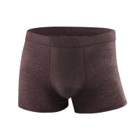 Mens plus size boxer XL-7XL Mens underwear, 2XL 3XL, 4XL, 5XL, 6XL, 7XL Big size panty new design summer ice silk mens underwear boxer 3D seamless breathable trend boxers