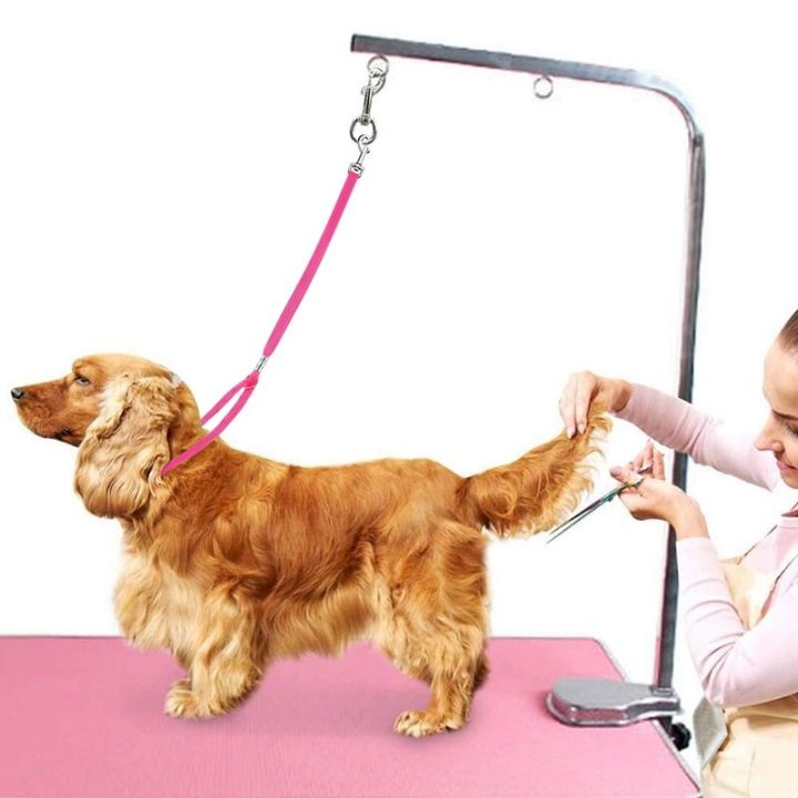 dog-grooming-loop-pet-nylon-restraint-noose-dogs-leash-rope-harness-for-pet-grooming-bath-restraint-table-arm-pets-accessories-leashes