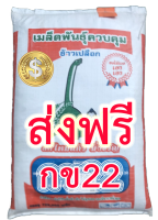 กข22 ส่งฟรี ข้าวเหนียวหอมต้นเตี้ยทนโรคไหม้และแมลงบั่วให้ผลผลิตสูง บรรจุ 23 กก