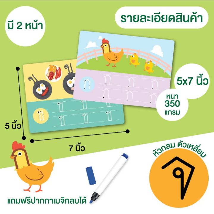 ผลิตจากวัสดุคุณภาพดี-kids-toy-การ์ดฝึกคัดอักษร-ก-ฮ-หัวกลม-ตัวเหลี่ยม-กล่องเขียว-เขียนแล้วลบได้-wipe-amp-clean-สินค้าเกรดพรีเมี่ยม-คุณภาพดี