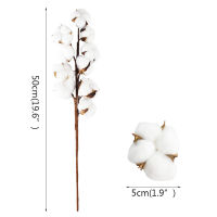 【cw】10headsbouquet White Dried Flowers Natural Cotton Flower nch Decorations for Home Gardening Craft Wedding Floral Decor ！