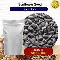 Black Sunflower ทานตะวันดำ 3เจ อาหารนก กระต่าย หนู กระต่าย ชูก้า และสัตว์ฟันแทะ สะอาดได้คุณภาพ(แบ่งขาย 500G / 1KG)