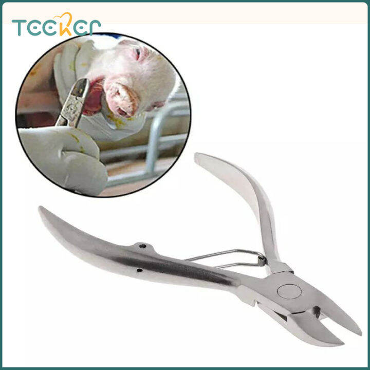 Teeker Pet Shrapnel Type Stainless Steel Piglets Teeth Clipper Pliers