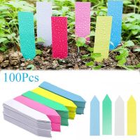 เครื่องมือของตกแต่งสวนแบบ DIY 100ชิ้นป้ายพลาสติกสำหรับปลูกต้นไม้กันน้ำสำหรับสถานรับเลี้ยงเด็ก