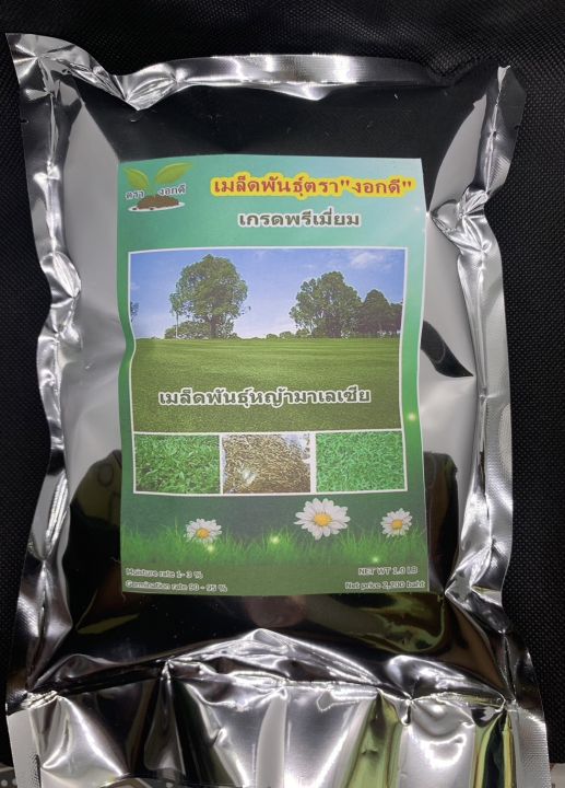 เกรดพรีเมี่ยม-1-ปอนด์-เมล็ดหญ้ามาเลเซีย-tropical-carpet-grass-หญ้าเห็บ-หญ้าไผ่-หญ้าปูสนาม-สนามหญ้า-เมล็ดพันธ์หญ้า-ปูหญ้า-ปูสนาม-สนามหญ้าและสวน