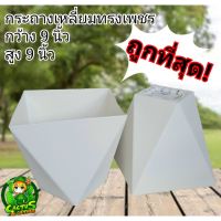 ถูกที่สุด‼️กระถางทรงเหลี่ยมเพชร มินิมอล ทรงสูง9×9(ขาว/ดำ)