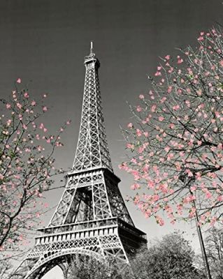 ปารีสหอไอเฟลดอกไม้ตกแต่งการถ่ายภาพท่องเที่ยวโปสเตอร์เมืองพิมพ์ลาย Unframed X