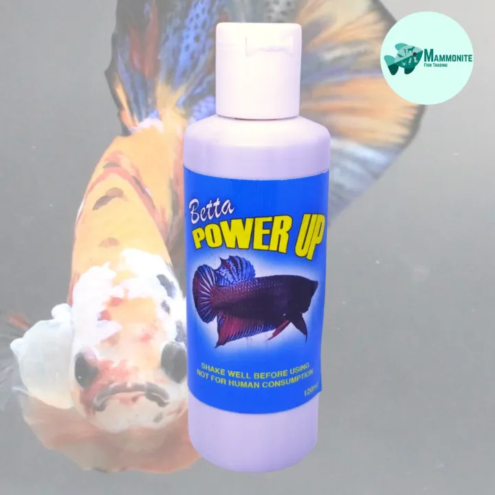 Betta Power Up 120mL grooming water conditioner for fighting fish