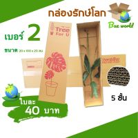 สินค้าคุณภาพ กล่องต้นไม้ เบอร์ 2 ลูกฟูก 5 ชั้น (จำนวน 5 ใบ) ส่งฟรี