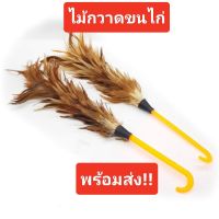 ไม้ปัดขนไก่ ไม้ขนไก่ ไม้ปัดฝุ่น อุปกรณ์ทำความสะอาด ขนไก่ ไม่ปัดขนไก่ด้ามพลาสติก ไม้ปัดขนไก่อเนกประสงค์ ของแท้ 100%