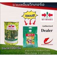 ➳เมล็ดพันธุ์ บวบเหลี่ยมวิกเกอร์ เอ 50g แถมกูซิก้าจีซองเล็ก▼