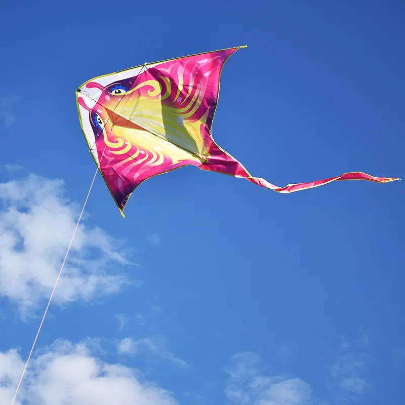 Frete grátis delta pipas voando brinquedos para crianças kites
