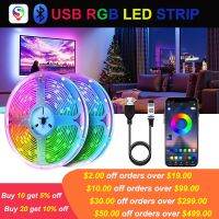 Bluetooth Led Lights Strips For TV Usb Led Strip Lights 5050 RGB Led Tape 5V Flexible Neon Strip Rgb Lights Decoration 20M LED Strip Lighting