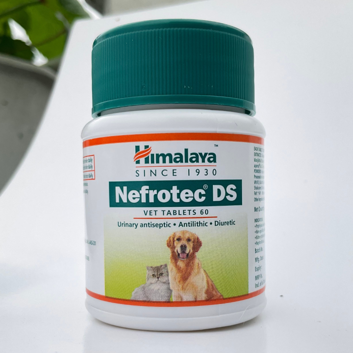 Nefrotec DS by Himalaya (sold per tablet) Urinary Antiseptic