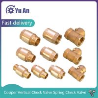 ∋♞■ Copper 1/2IN Discrete Check Valve Spring Check Valve 3/4IN 1 Inch Thread Horizontal Check Valve