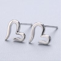 S925 silver stud earrings anting earring women studs Jewelry gift