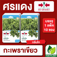 ผักซอง ศรแดง เมล็ดพันธุ์ พันธุ์ผัก กะเพรา กลิ่นไท F1 บรรจุแพ็คล่ะ 10 ซอง ราคา 230 บาท