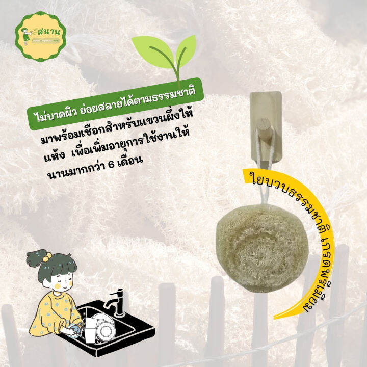 ใยบวบธรรมชาติ-ใยบวบล้างจาน-ใยบวบขัดผิว-ใยบวบขัดตัว-พร้อมเชือกห้อย-เกรดพรีเมี่ยม-ไม่ผสมสารสังเคราะห์-ขัดกระทะเทฟล่อนได้-ไม่ทำลายผิว