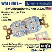 Wattgate 381 AU Evolution ชุบทอง 24K Audio Grade ของแท้ประกันศูนย์ KWB แถมฝาครอบ Stanless Hubbell มูลค่า 300 บาท