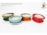 กระถางเซรามิคทรงรีไข่ สีล้วน (ไซด์ 6)