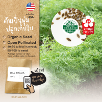 เมล็ดสมุนไพรนำเข้า ดิล เก็บใบ Dill Thalia (Organic Seed) ผักชีลาว Herb