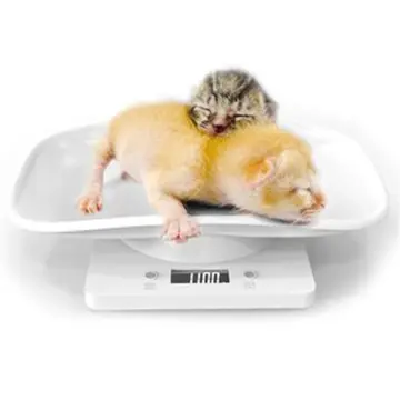 Pet Weight Scale, Digital Pet Scale, Multi-function Digital Scale, Smart  Baby Pet Dog Cat Scale, Kitchen Electronic Scale, Accurate Digital Scale,  Scale With Tray, Maximum Load, Kitchen Accessaries, Home Supplies, Back To