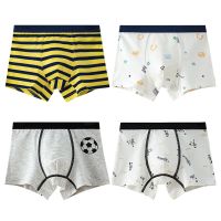 HH 2 Piece Boys Underpants Kids Cartoon Striped Panties Baby Boys Underwear Boxer Children Cotton Comfort Underpants For Teens