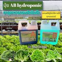 ปุ๋ยไฮโดรโปนิกส์ ปุ๋ยAB ปุ๋ยน้ำ ปุ๋ยผักสลัด สำหรับปลูกผัก? Hydroponics ขนาด1000ML New สูตรเข้มข้น  ร้าน ไฮโดรโปนิกส์-ST1