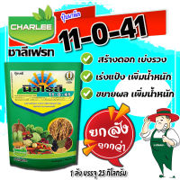 ?ยกลัง?11-0-41 นิวไรส์ บรรจุ 25 กก. พร้อมธาตุอาหารรอง-เสริม ปุ๋ยเกล็ด ชาลีเฟรท ขยายผล เพิ่มน้ำหนัก สูตรระเบิดหัวขนาด 1 กิโลกรัม