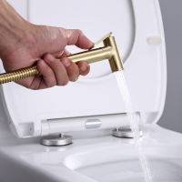 Bidet Sprayer Brushed Gold Bathroom Clean Toilet 2 Functions Water Flow ss Body Stainless SteelPVC Hose