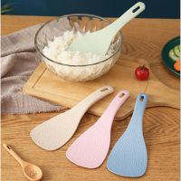 ﹍✷ Rice Spoon Paddle Plastic Non Stick White Rice Cooking Scoop Spatularice Spoon Paddle Plastic Non Stick Rice Cooking Scoop