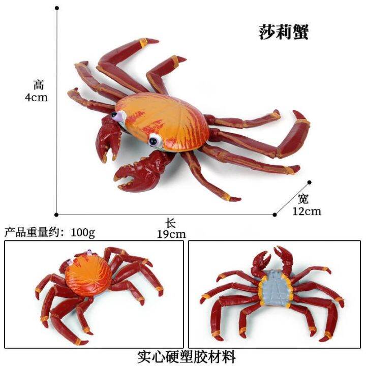 simulation-model-of-ocean-biological-children-toy-animals-crab-crab-crab-hermit-crab