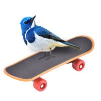 ZHILINGZHU Intelligence Funny Training Accessories Parrot Stand Perch Pet Bird Supplies Bird Toy Skateboard Bird Accessories