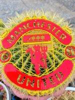 manchester united โลโก้แมนเชสเตอร์ยูไนเต็ด แบบแขวนเหล็กตัดเลเซอร์ ขนาด18*18 cmทำสีเหมือนจริง ใช้สีพ่นรถยนต์ 2k ทนแดดทนฝน ทนทุกสภาวะอากาศ ขนาดพกพา